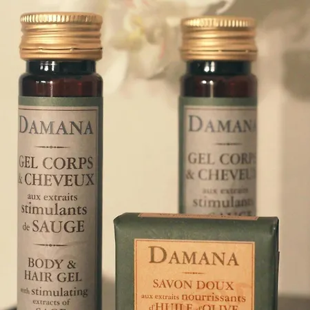 艺术酒店 圖盧茲