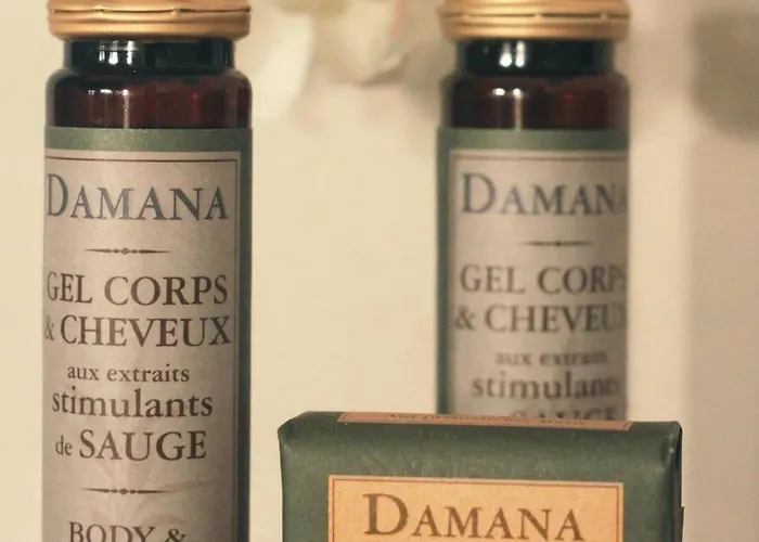 オテル デザール トゥールーズ