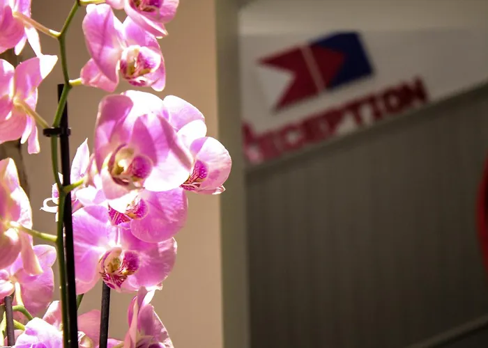 オテル デザール ホテル 3*