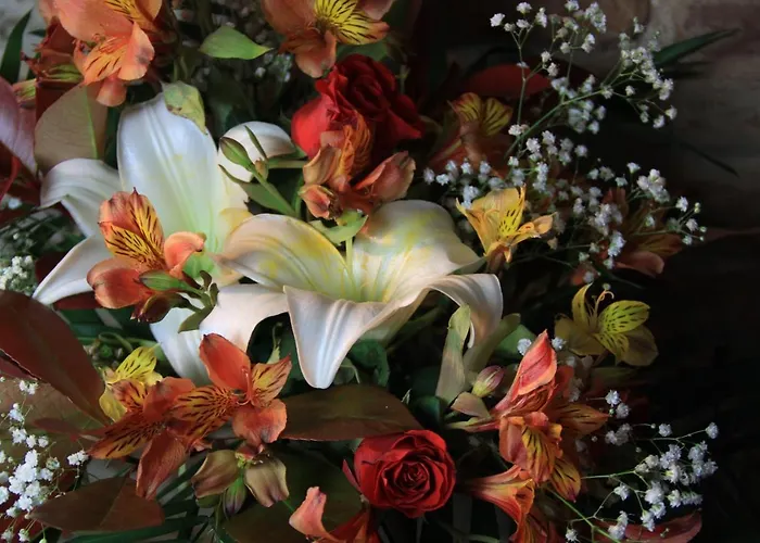 オテル デザール 3*